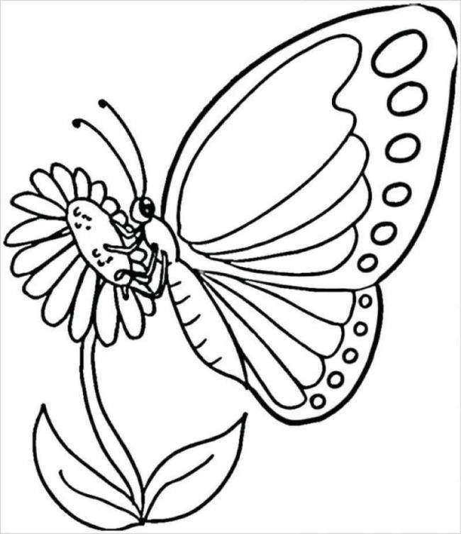 Collection of butterfly coloring for girls