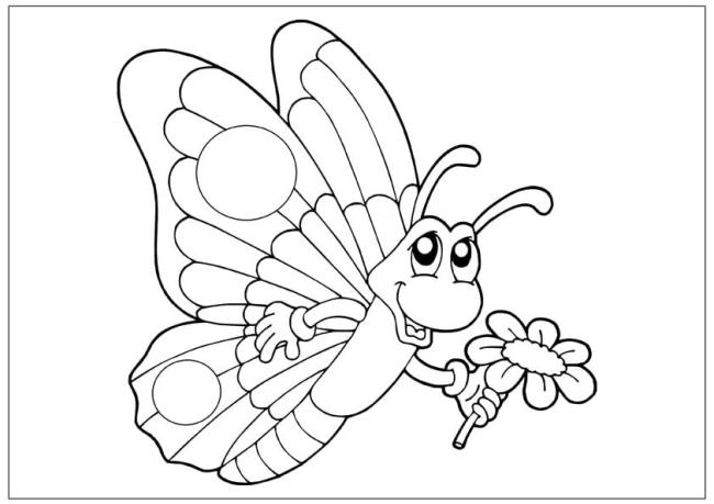 Collection of butterfly coloring for girls