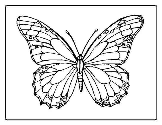 Collection of butterfly coloring for girls