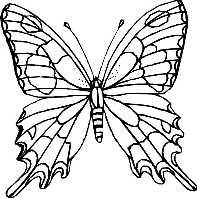 Коллекция бабочек-раскрасок для девочек