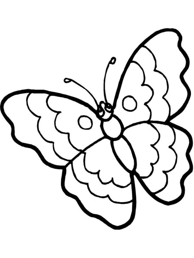 Collection of butterfly coloring for girls