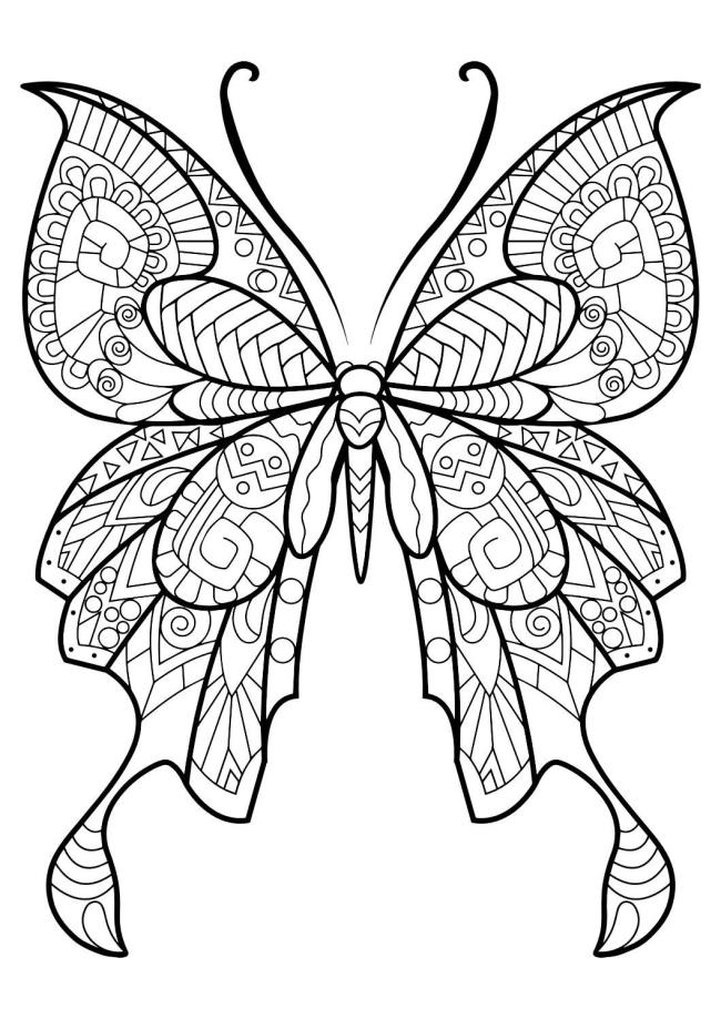 Collection of butterfly coloring for girls