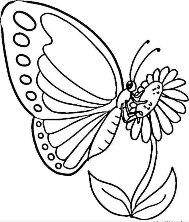 Collection of butterfly coloring for girls