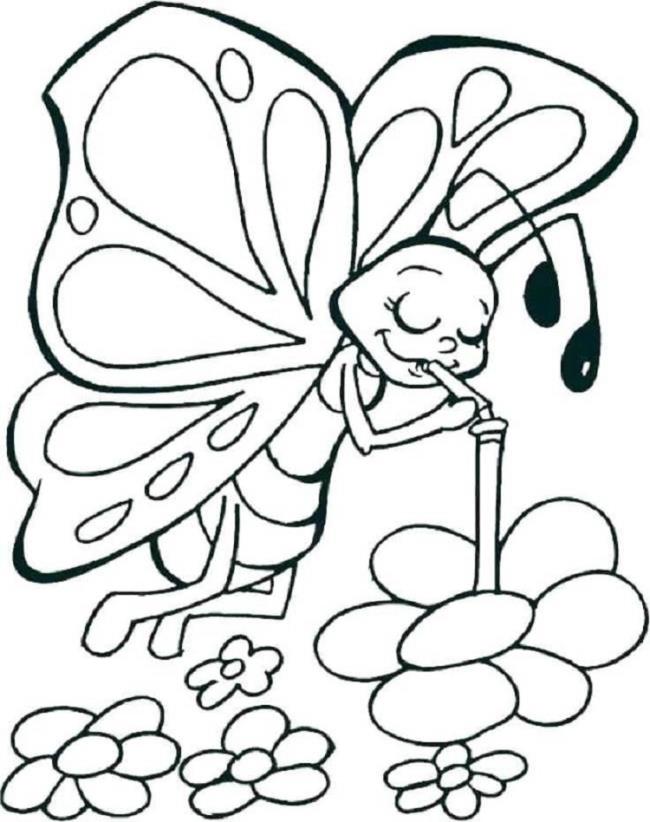 Collection of butterfly coloring for girls