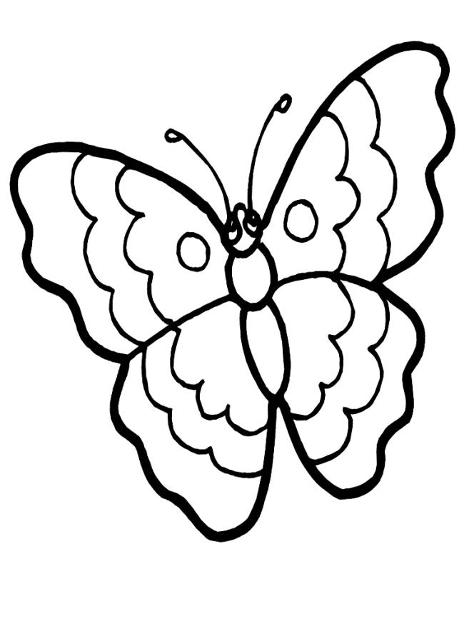 Collection of butterfly coloring for girls