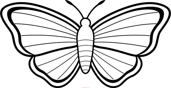 Collection of butterfly coloring for girls