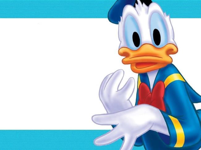 Verzameling van grappige en mooie foto's van Donald Duck