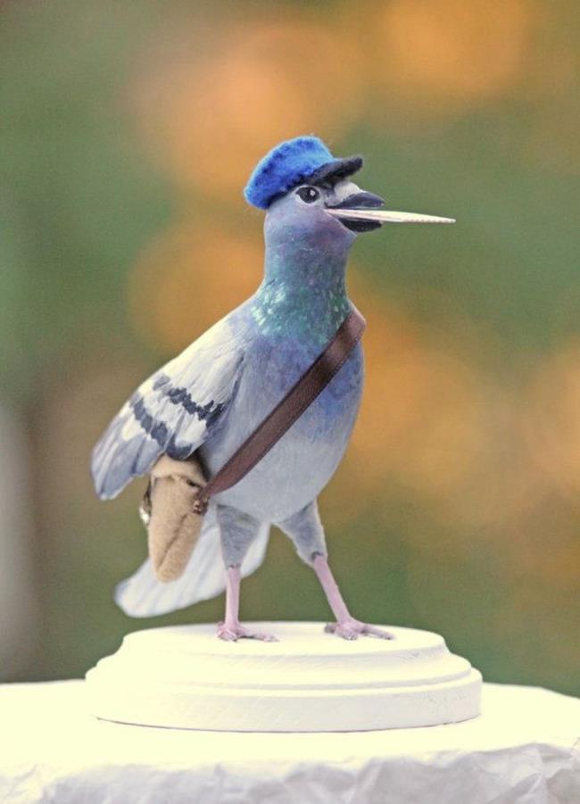 Le foto più belle della colomba più bella del mondo