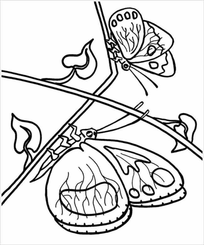 Collection of butterfly coloring for girls