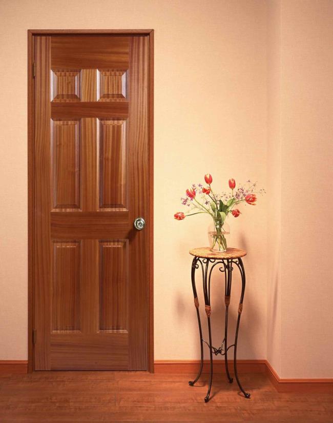 Quelques photos de portes en bois à 1 porte