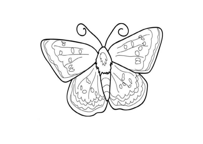 Collection of butterfly coloring for girls