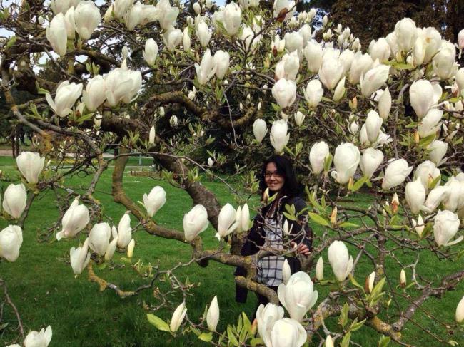 Imagini frumoase cu magnolia albă