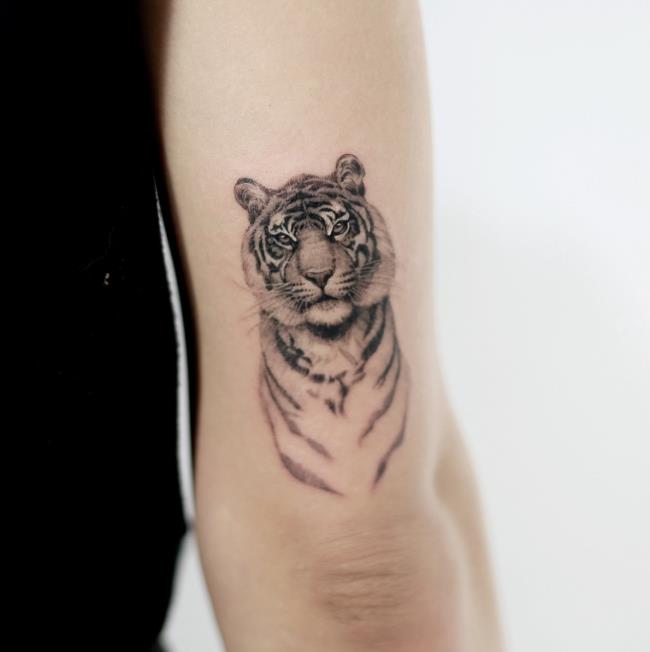 強大而令人印象深刻的老虎紋身圖案的集合