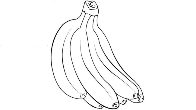 Collection of the most beautiful banana coloring pictures