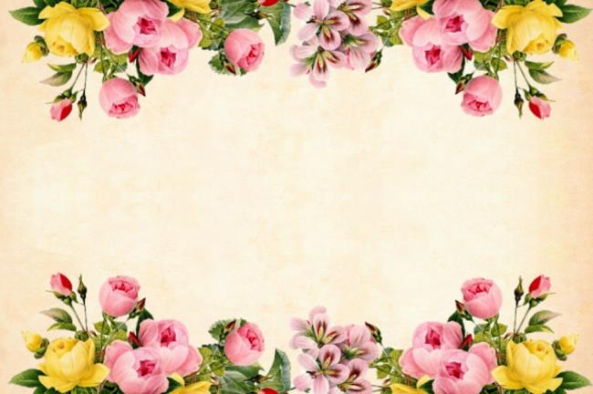Coleção dos mais belos padrões de fundo floral