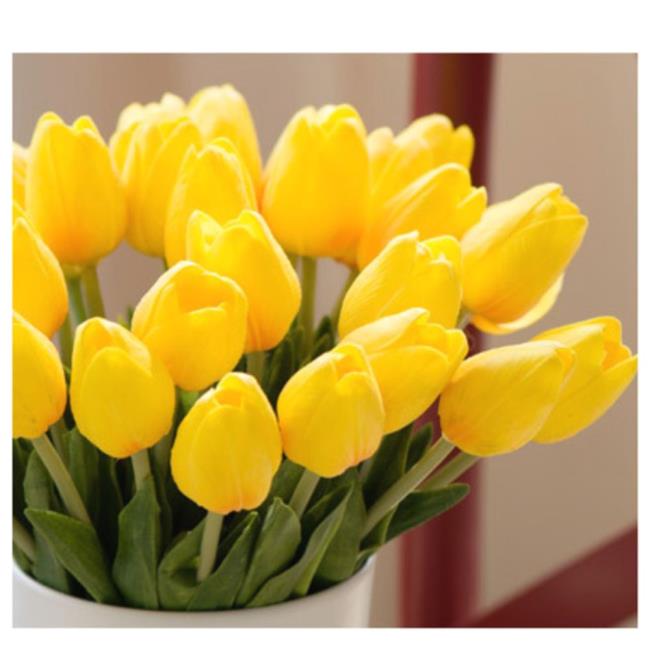 Ringkasan tulip kuning yang paling indah