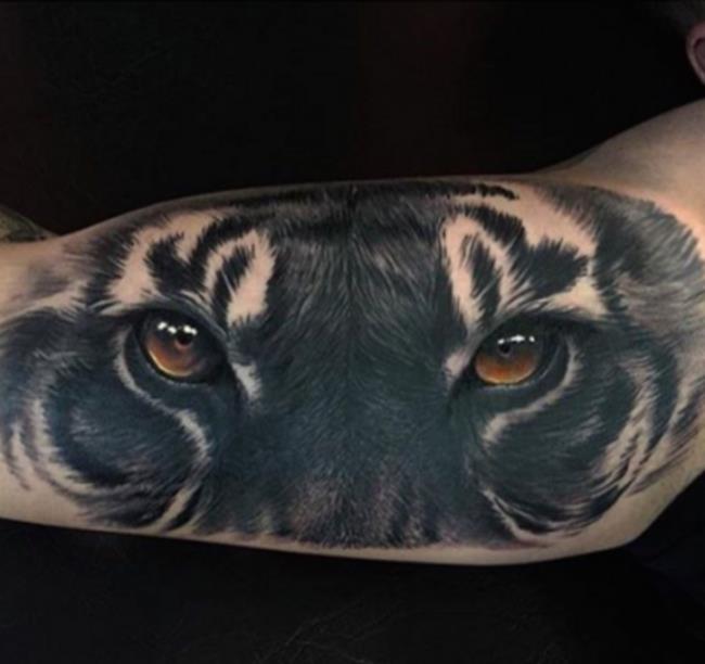 Collection de motifs de tatouage de tigre puissants et impressionnants