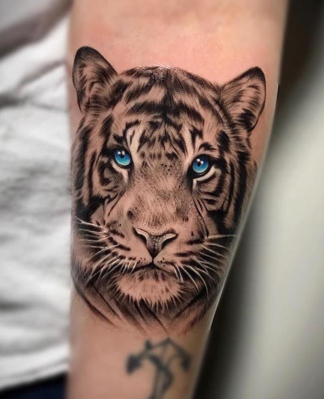 Collection de motifs de tatouage de tigre puissants et impressionnants