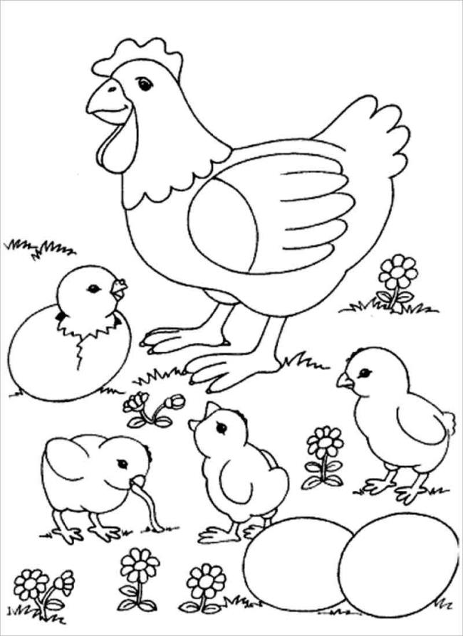 Summary of beautiful coloring pictures of chickens for babies