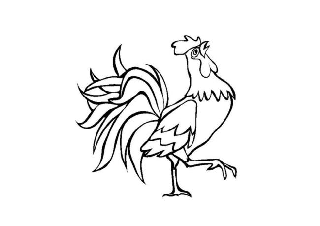 Summary of beautiful coloring pictures of chickens for babies