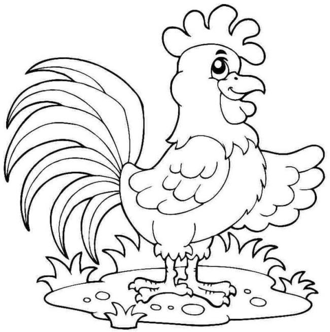 Résumé de belles images à colorier de poulets pour bébés