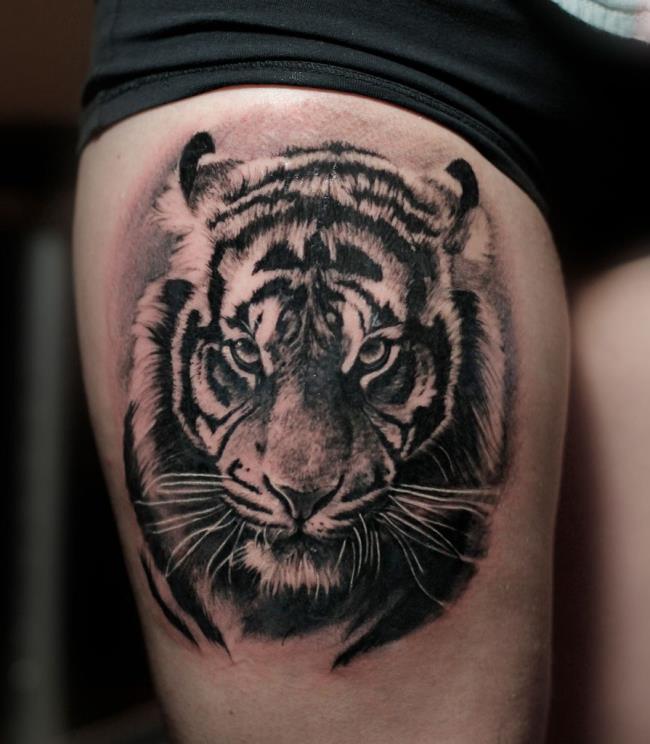 強大而令人印象深刻的老虎紋身圖案的集合