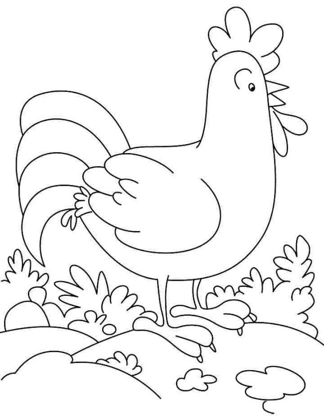 Summary of beautiful coloring pictures of chickens for babies