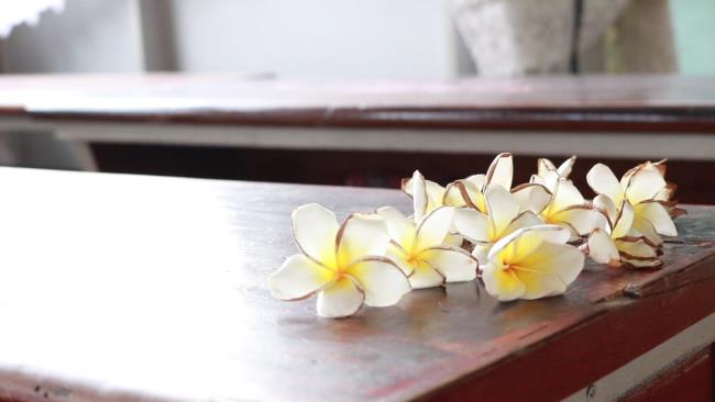 Podsumowanie najpiękniejszego kwiatu białej porcelany