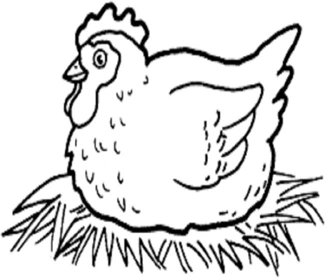 Résumé de belles images à colorier de poulets pour bébés