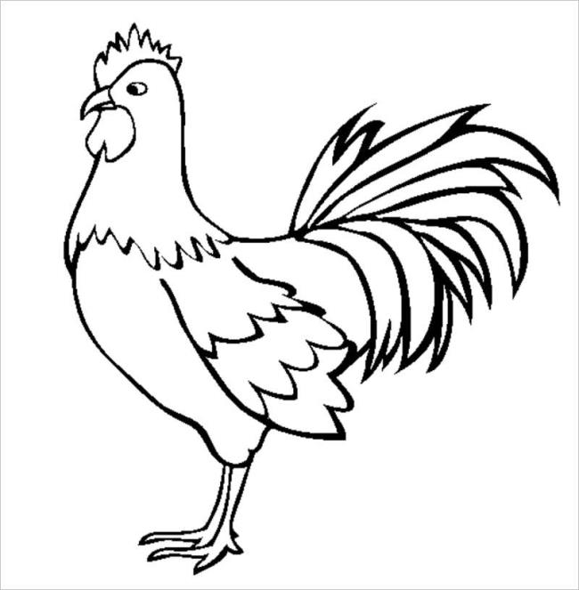 Summary of beautiful coloring pictures of chickens for babies