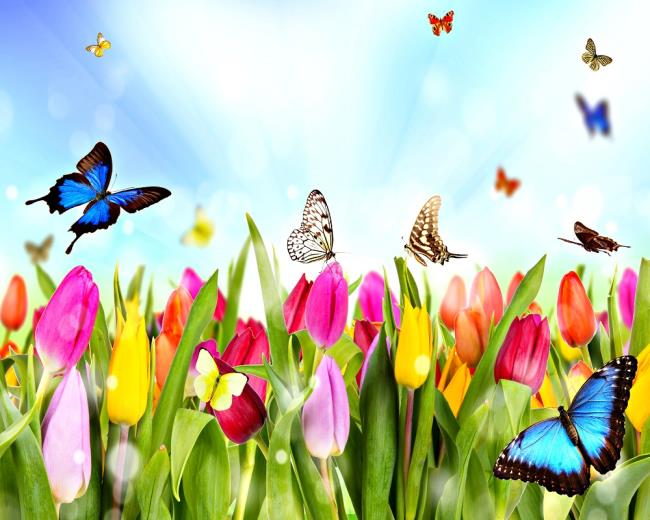 Sinteza celei mai frumoase imagini de primăvară
