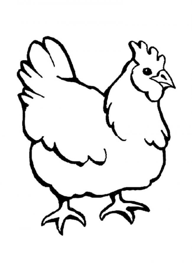 Résumé de belles images à colorier de poulets pour bébés