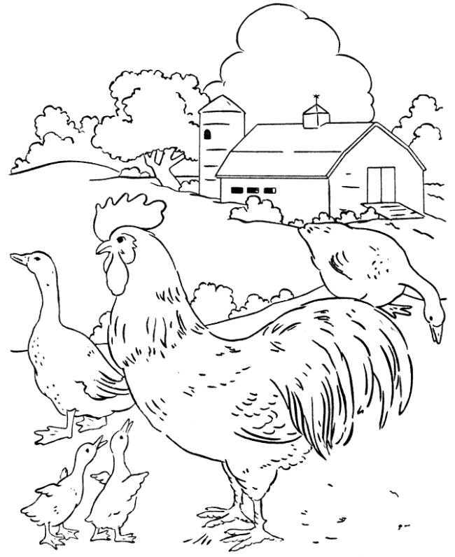 Résumé de belles images à colorier de poulets pour bébés