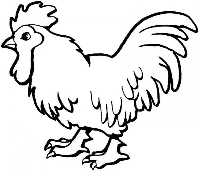 Summary of beautiful coloring pictures of chickens for babies