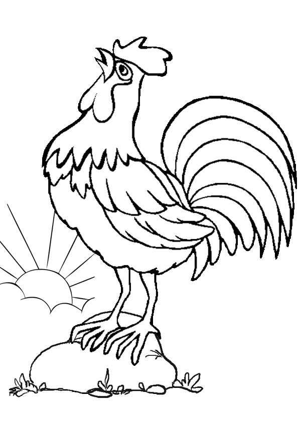 Summary of beautiful coloring pictures of chickens for babies