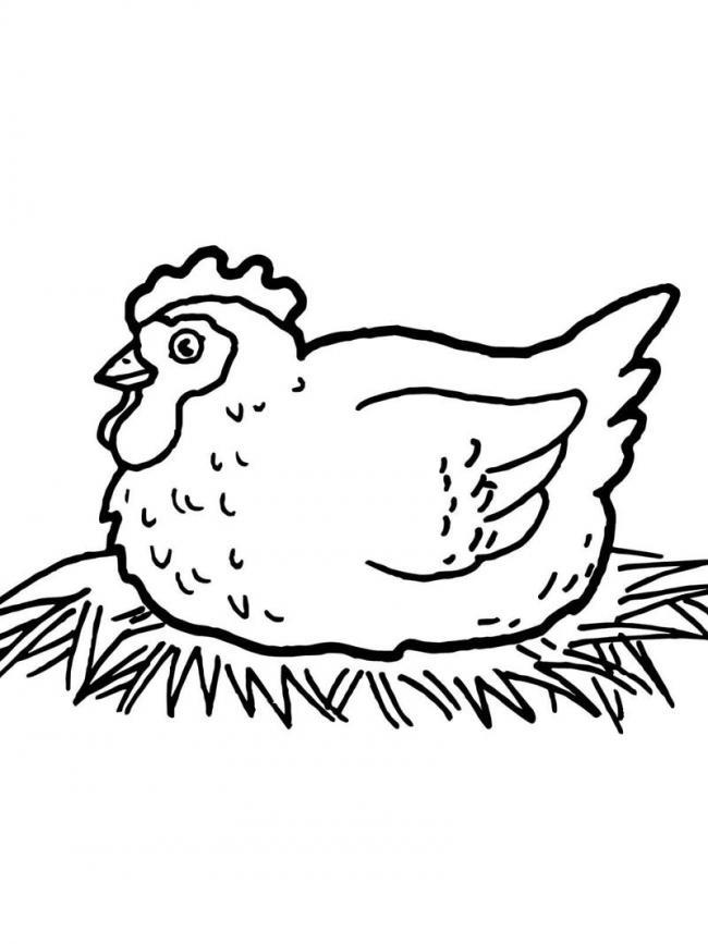 Résumé de belles images à colorier de poulets pour bébés