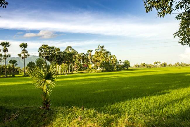 Resumo da mais bela paisagem vietnamita