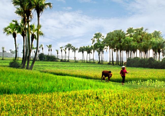 Resumo da mais bela paisagem vietnamita