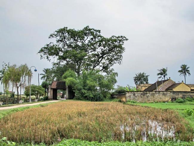 最も美しいベトナムの田舎の概要