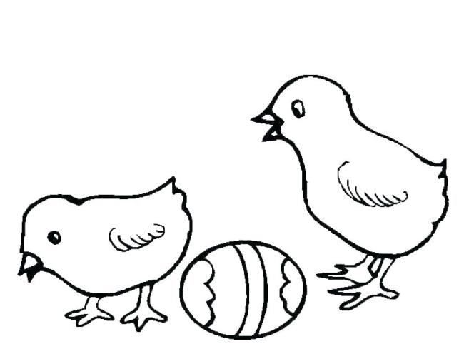 Summary of beautiful coloring pictures of chickens for babies