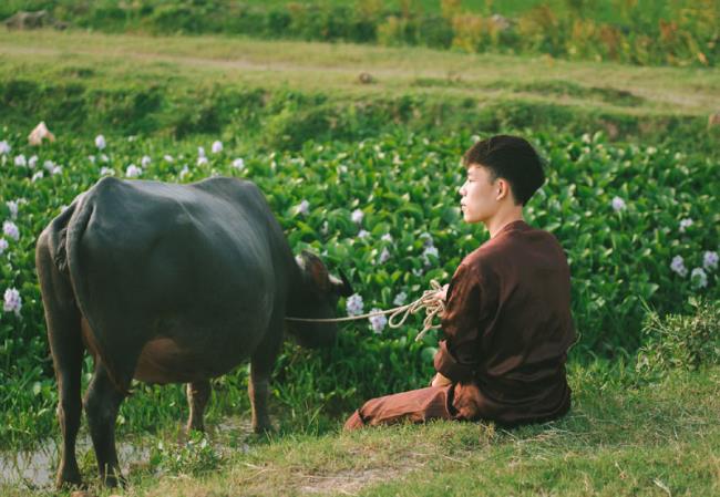 Summary of the most beautiful Vietnamese countryside