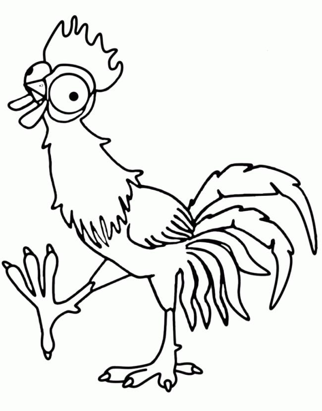 Summary of beautiful coloring pictures of chickens for babies