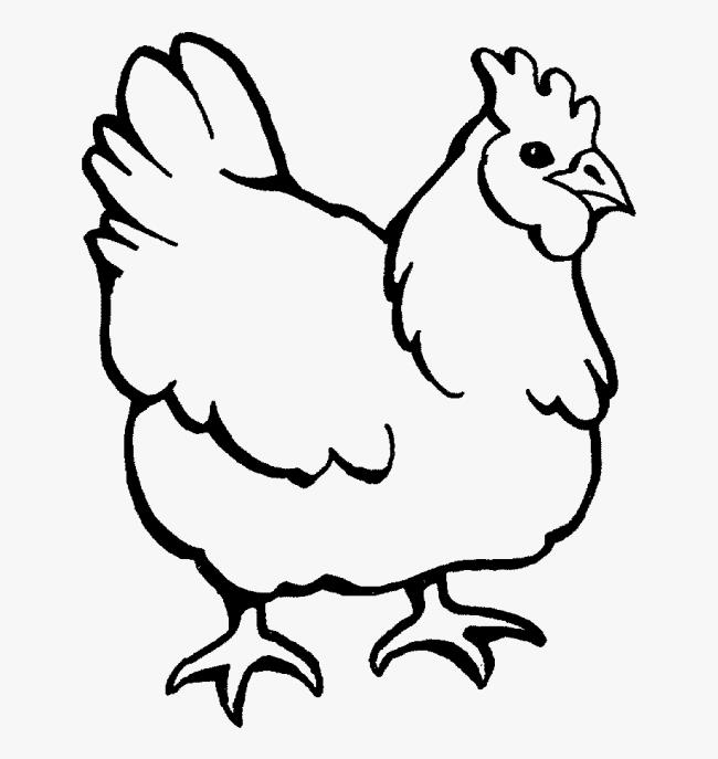 Résumé de belles images à colorier de poulets pour bébés