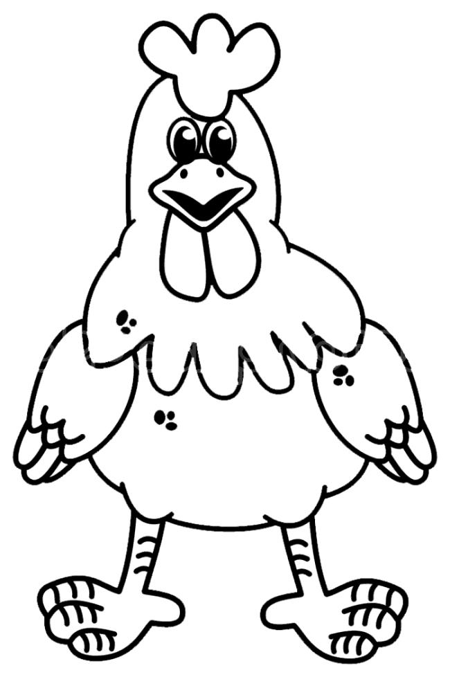 Summary of beautiful coloring pictures of chickens for babies