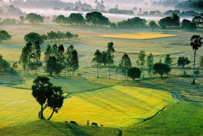 ملخص أجمل الريف الفيتنامي