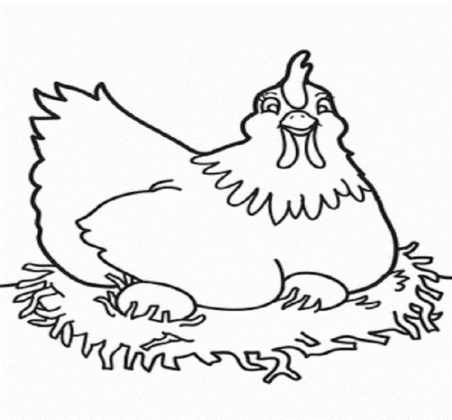 Summary of beautiful coloring pictures of chickens for babies