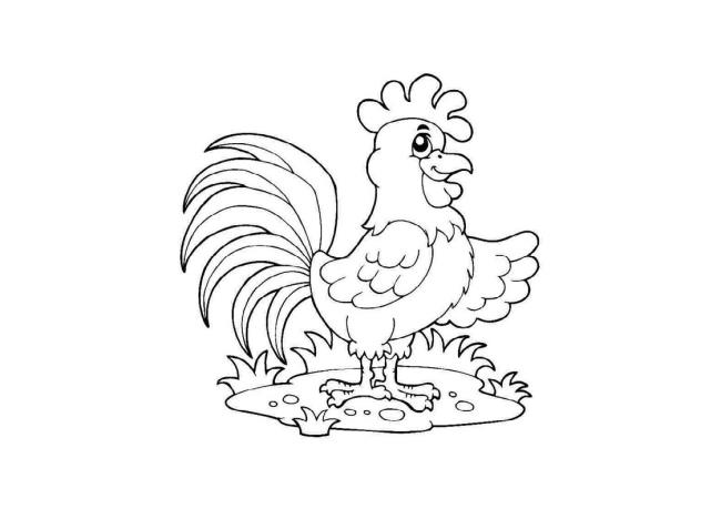 Résumé de belles images à colorier de poulets pour bébés