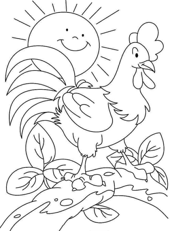 Summary of beautiful coloring pictures of chickens for babies