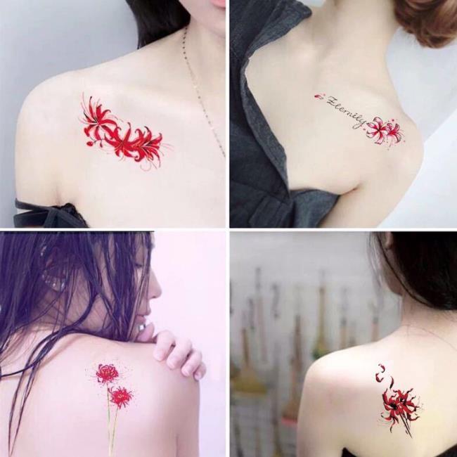 Coleção dos mais belos padrões de tatuagem de flor de azevinho