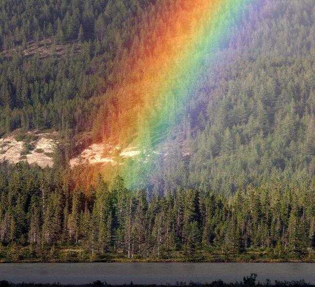 Coleção das mais belas imagens do arco-íris